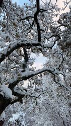 Budapest XV.ker - Pestújhely