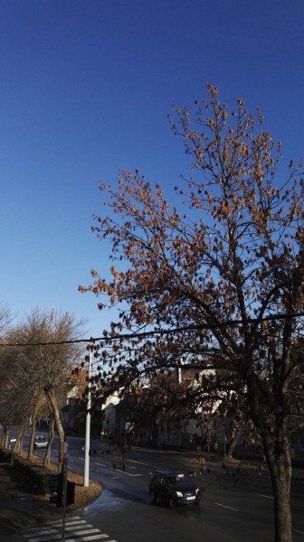 Eger