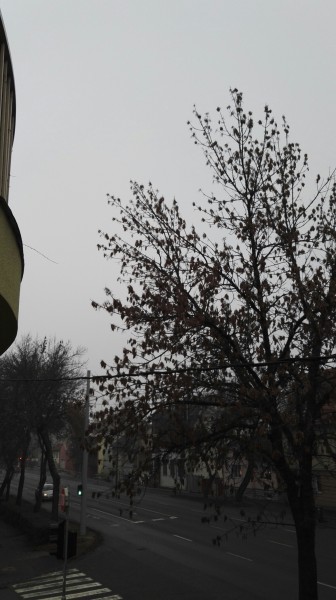 Eger