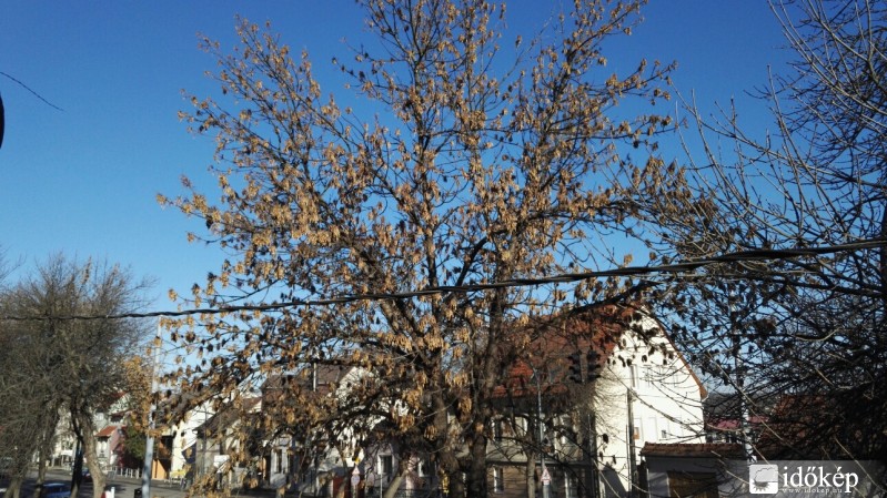 Eger