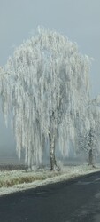 Szepetnek