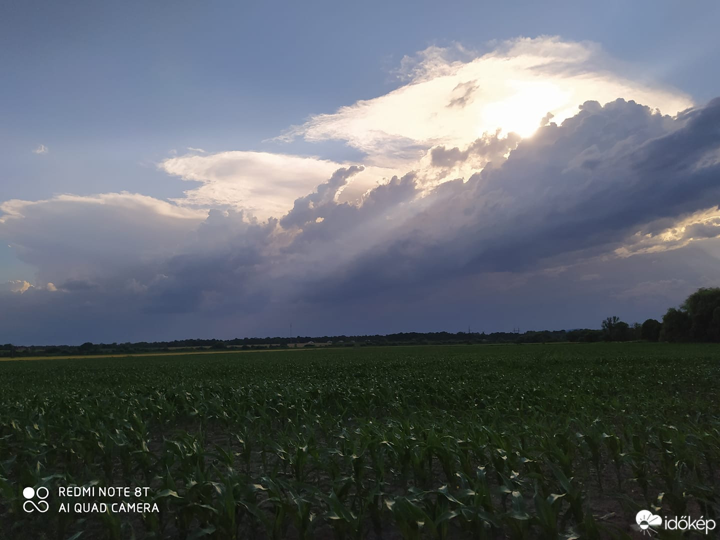 Észlelési fényképek