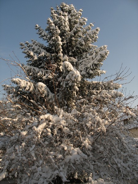 Tél