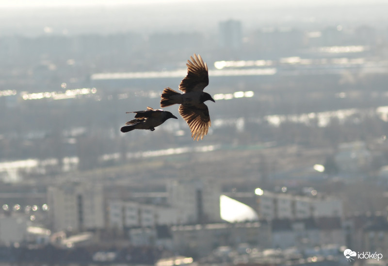 Repülés a város felett - légtornászok