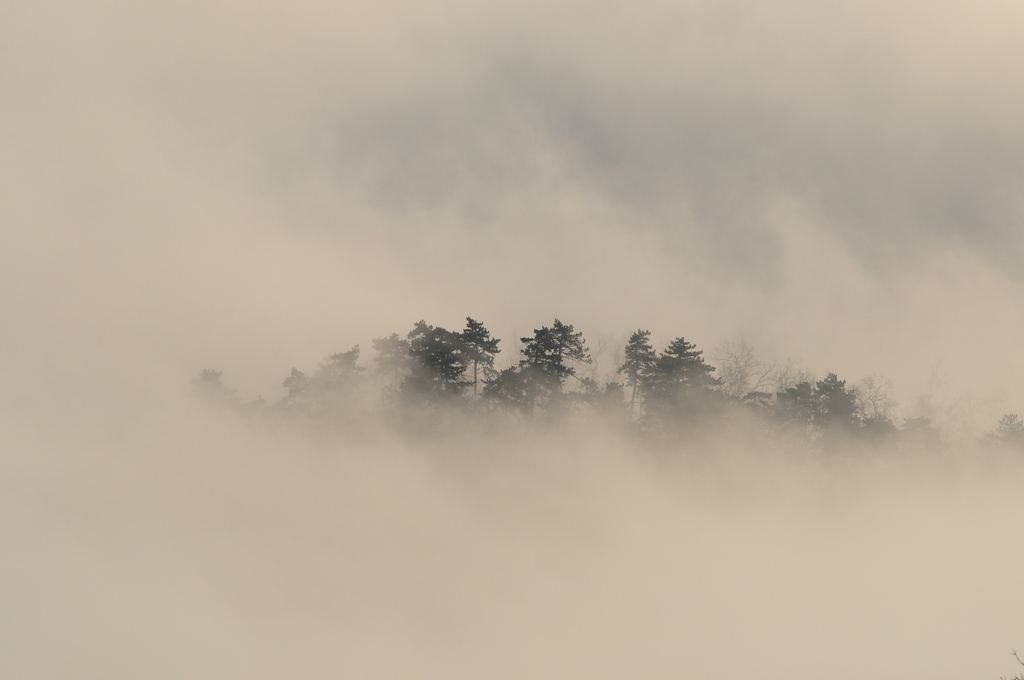 2017 12.26. reggel János-hegyről.