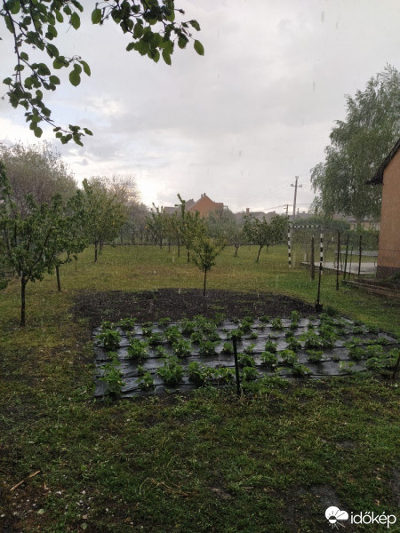 Észlelési fényképek