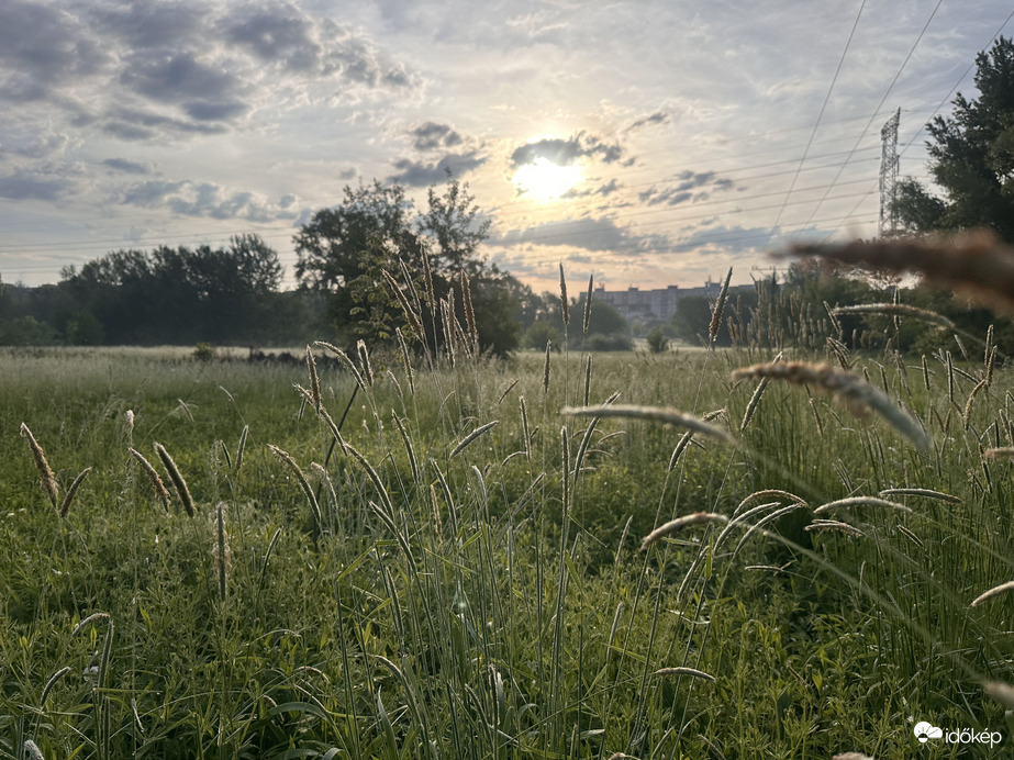 Szép reggel 