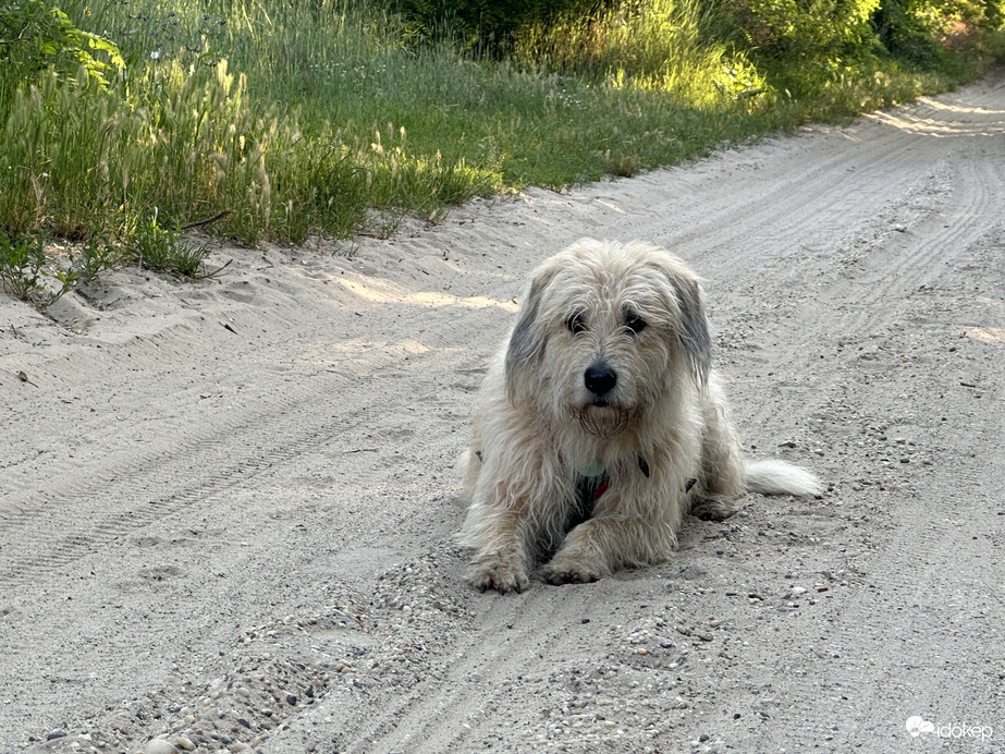 már reggel 7kor az utunk végén is kutya meleg van, így egy kicsit megpihentünk ❤️