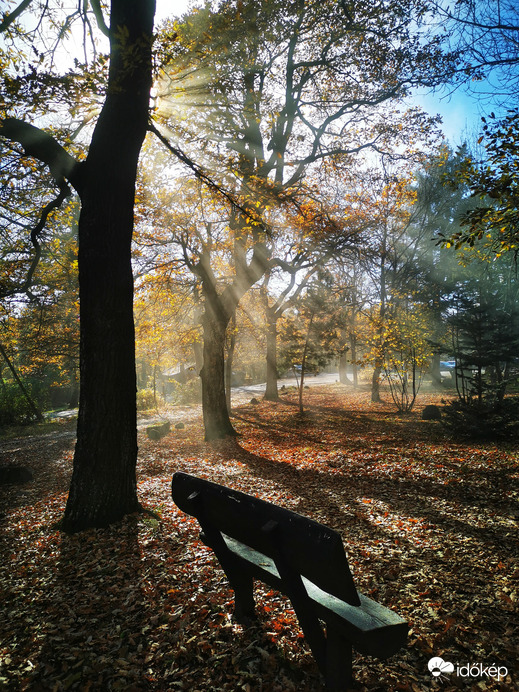 Dobogókő misztikus ködben 