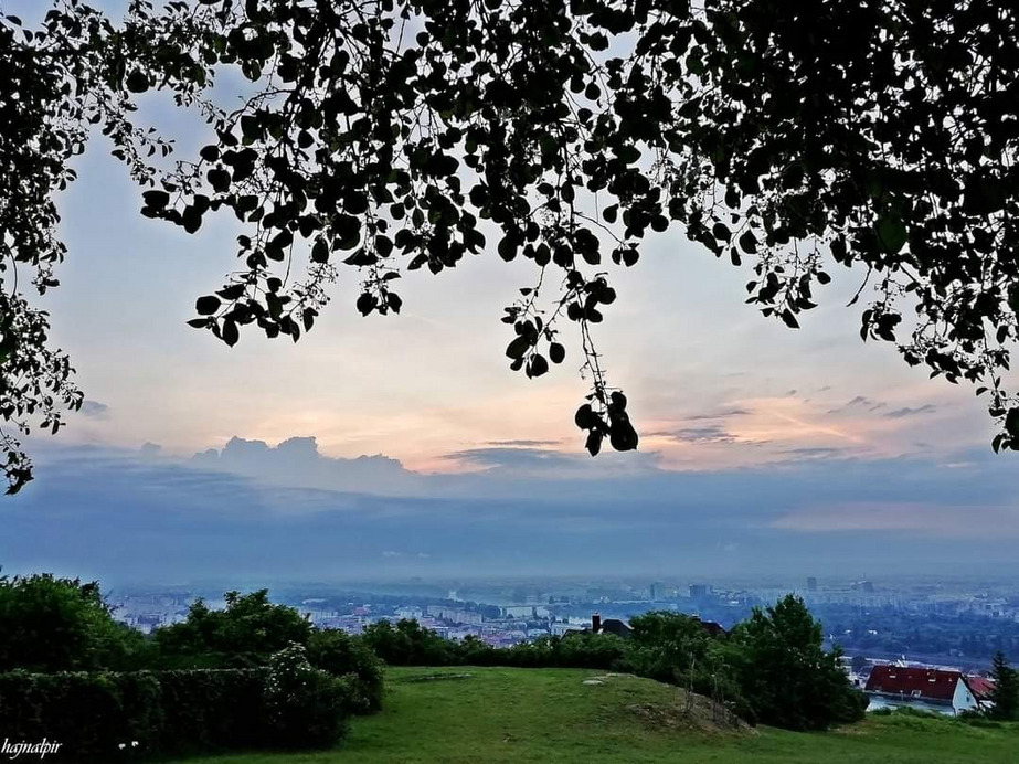 Budapest II.ker - Rózsadomb