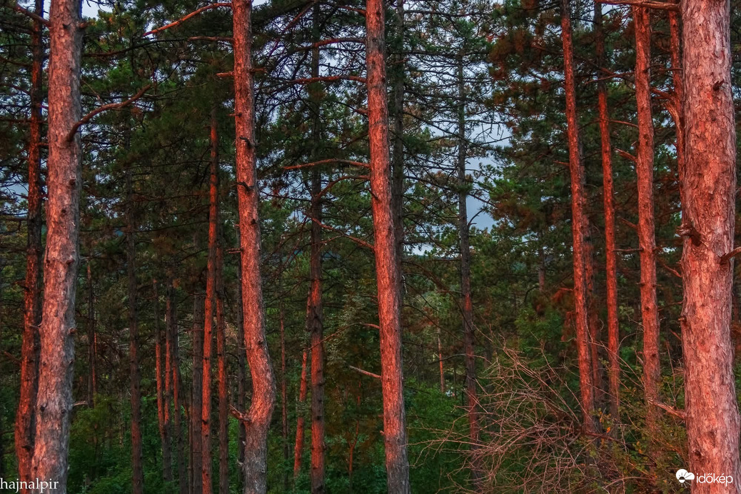 Pilisszentiván