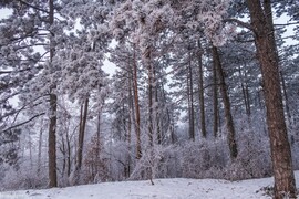 Budapest XIII.ker - Újlipótváros