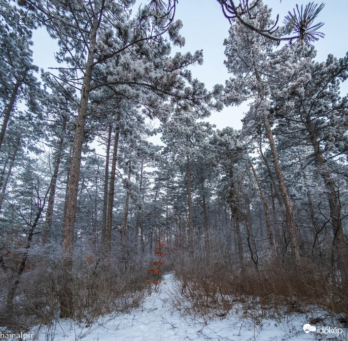 Budapest XIII.ker - Újlipótváros