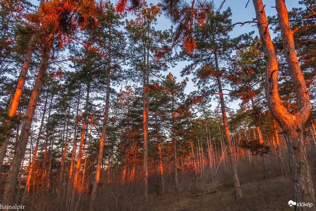 Észlelési fényképek