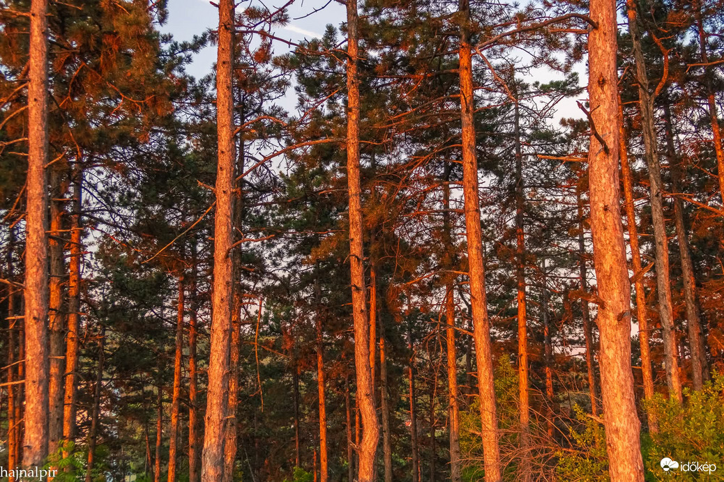 Napkelte