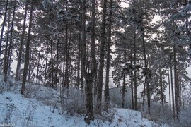 Budapest XIII.ker - Újlipótváros