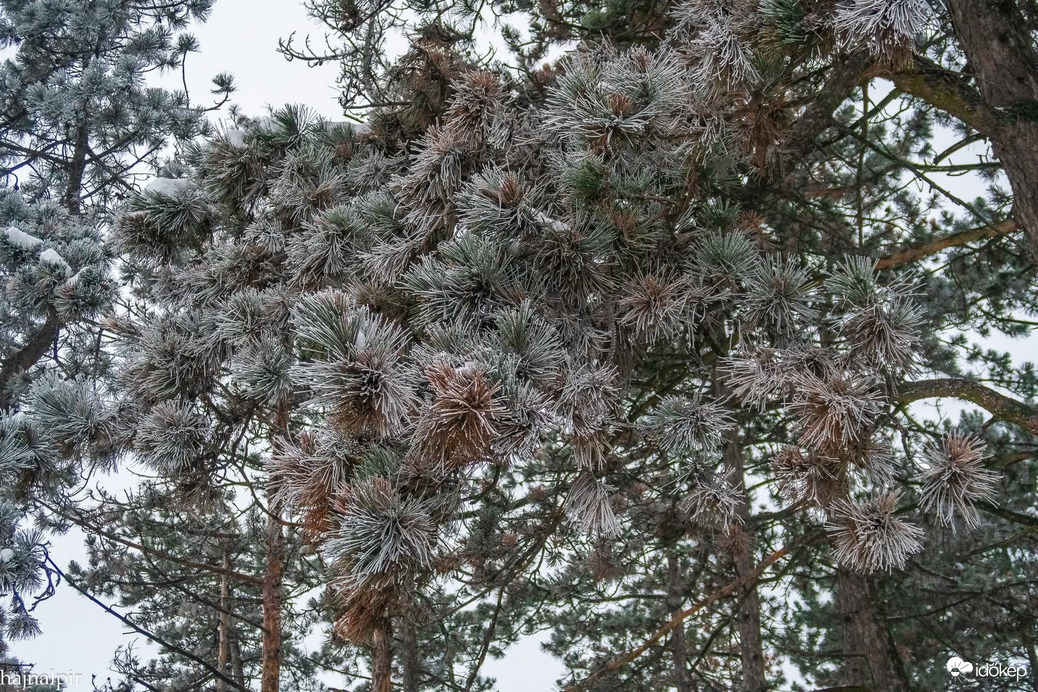 Budapest VI.ker - Terézváros
