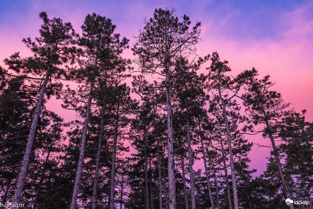 Észlelési fényképek