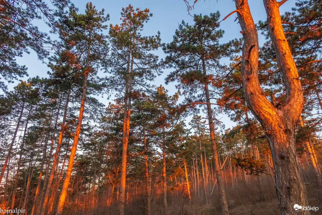 Észlelési fényképek