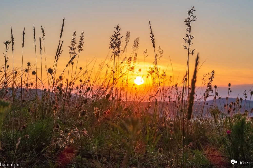 Budapest XIII.ker - Vizafogó