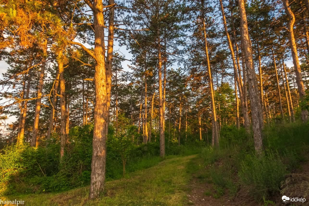 Budapest XIII.ker - Vizafogó