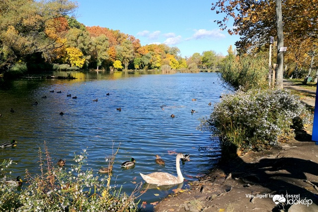 Vác, Ligeti tó