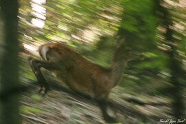 han358 fotója