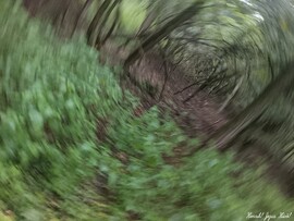 Tekererdő