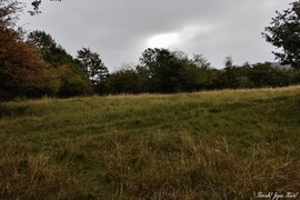 han358 fotója