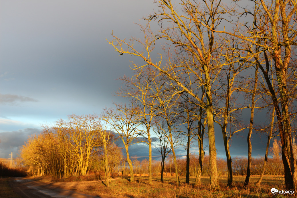 Észlelési fényképek