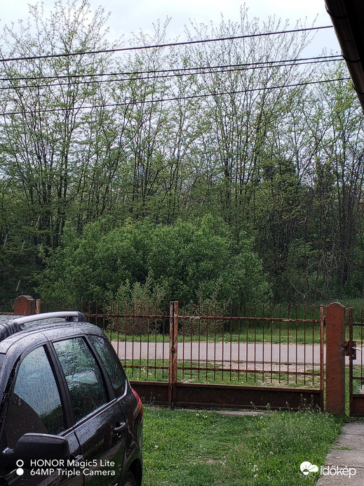 Polgárdi