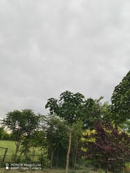 Polgárdi