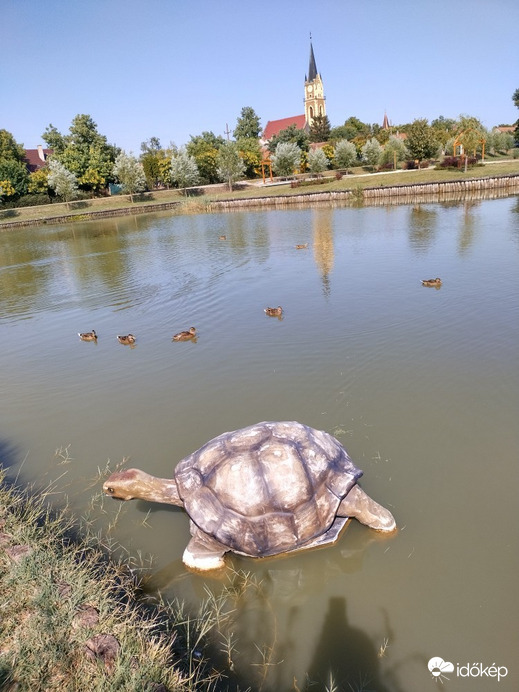 Gyomaendrőd