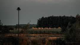 hannibal2000 fotója