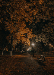 hannibal2000 fotója