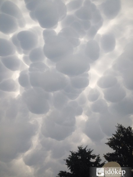 Észlelési fényképek