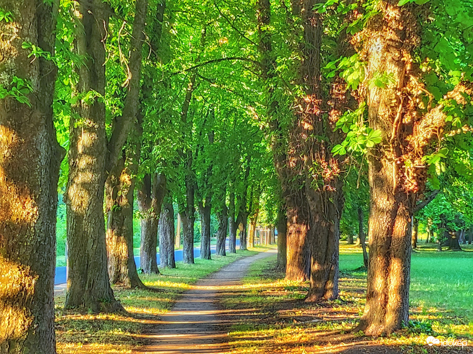 Keszthelyi képeslap