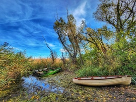 Balatonból- pocsolya?