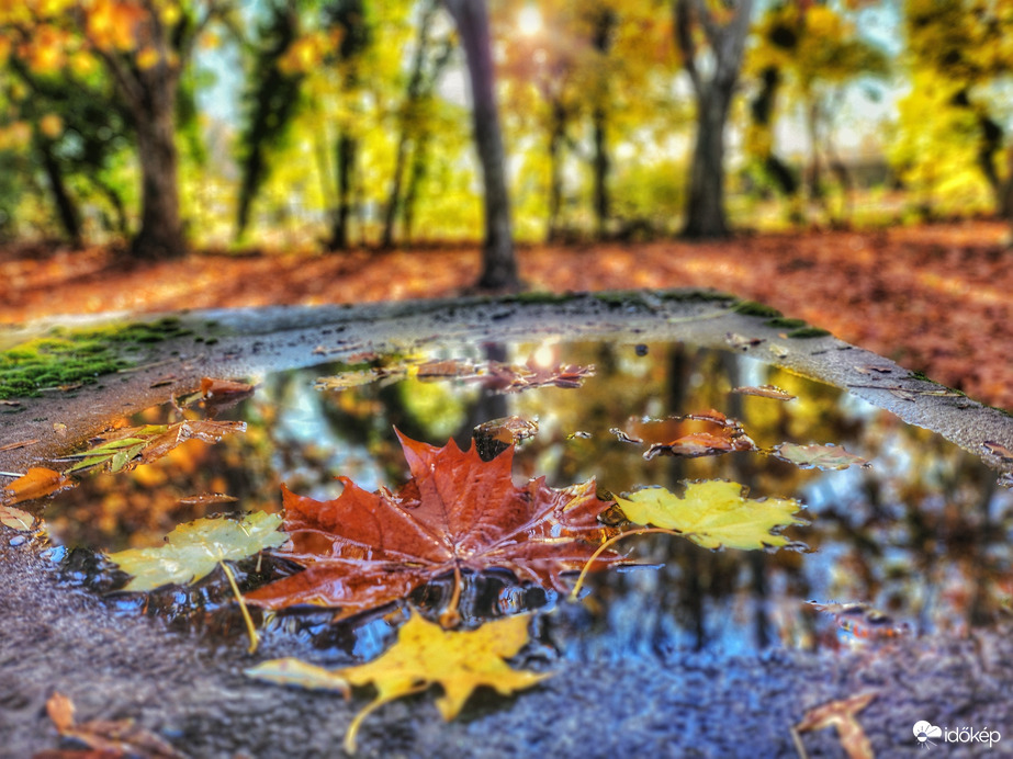 Tálcán kínálja magát az ősz...