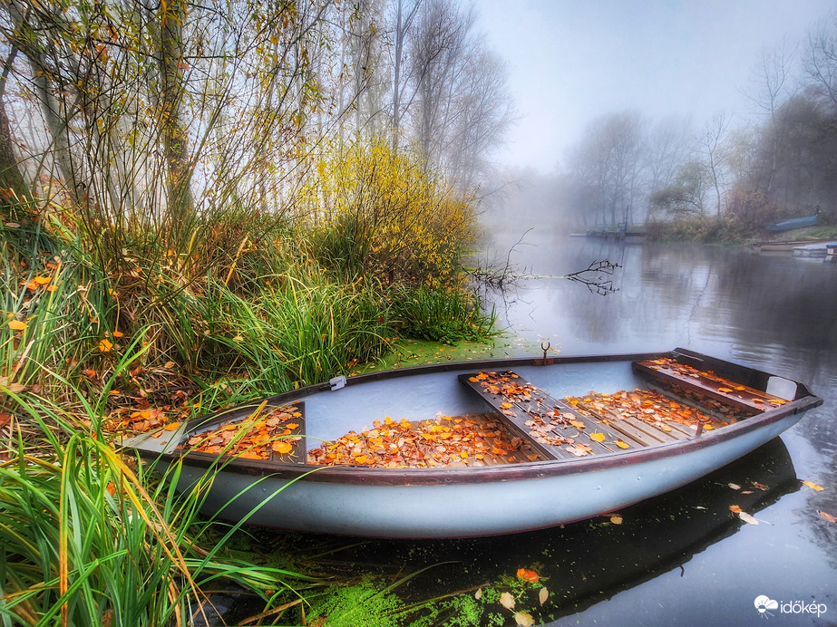 Simogató csendélet...