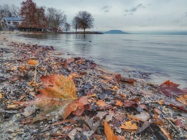 Télből... ismét ősz