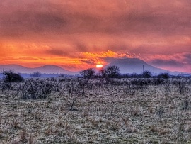 Narancsszínű ébredés...