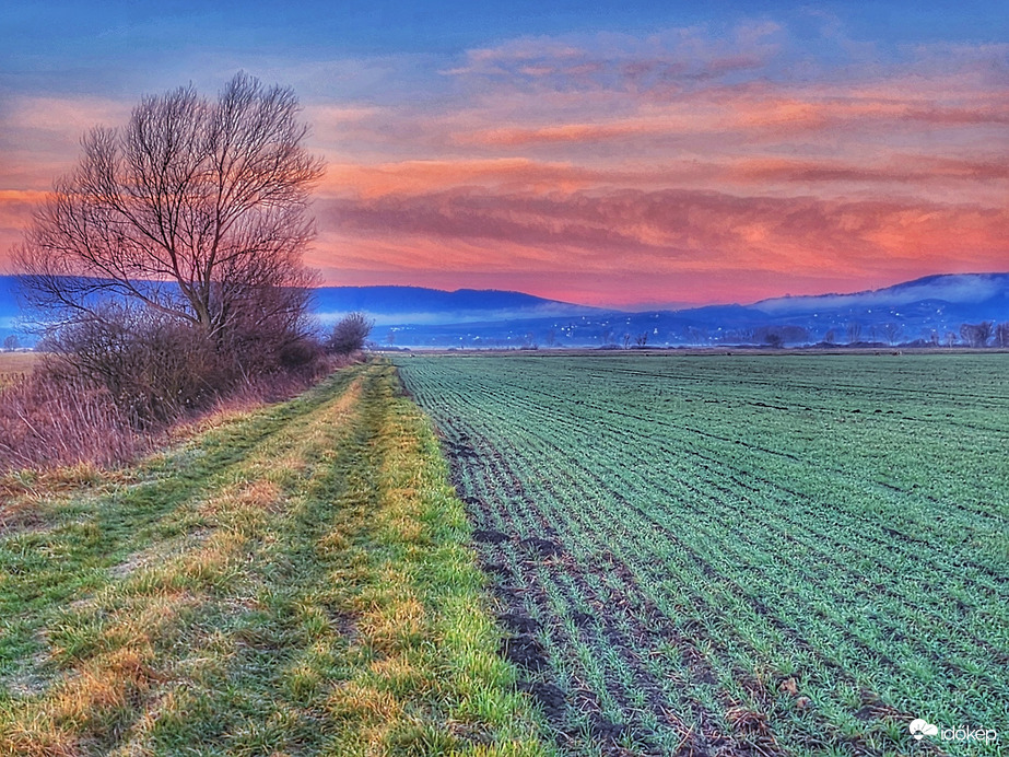 Kék és narancssárga (+zöld)