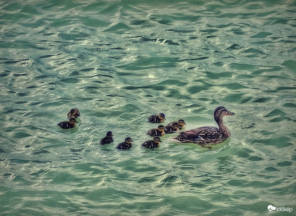 Balaton