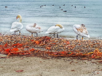 Adventi csendes pihenő...