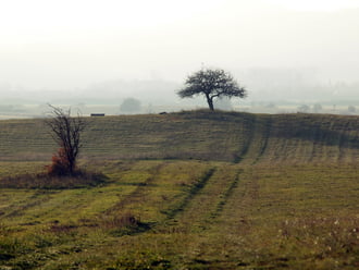 Lassan, de kitisztul...