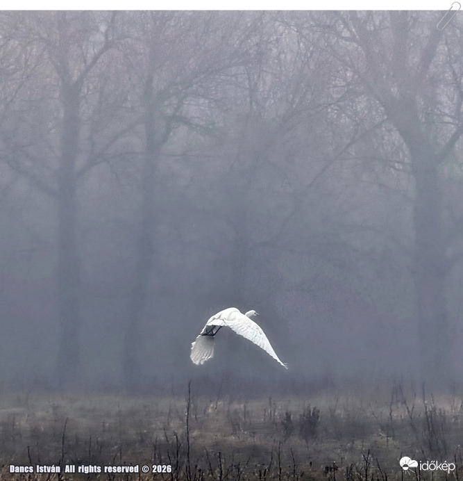 Szállj, csak szállj!