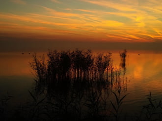 Sziluett & napnyugta...