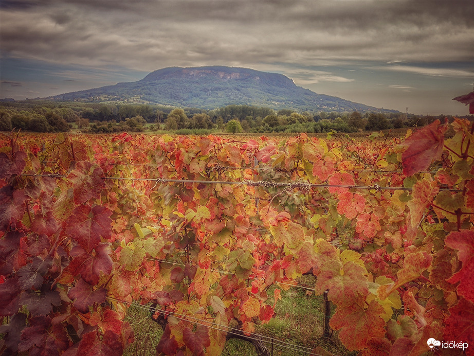 Alkotott a "festőművész"...