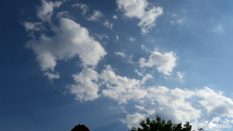 Észlelési fényképek